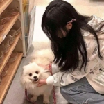 全民汽车大暴走